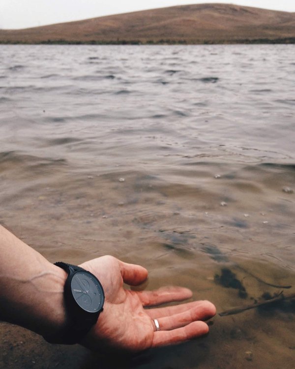 Quels sont les meilleurs conseils pour voyager longue distance avec un chat anxieux ?